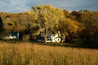 Walnut Run Farm - Woodville - 8