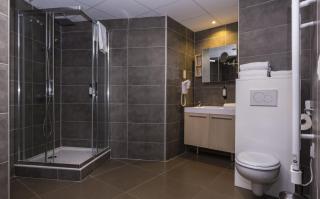 Zenitude Swiss Apparthotels - Ferney-Voltaire - 4
