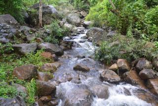 Stream Garden Mountain Resort - 7