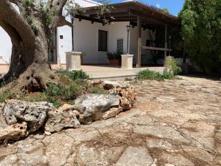 Masseria Chianca - Le rose - Mottola - 1