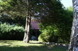 Kuća za odmor MARA - Duga Resa - 4