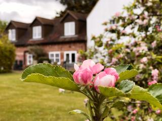 Hanger Down House Bed and Breakfast - Arundel - 6