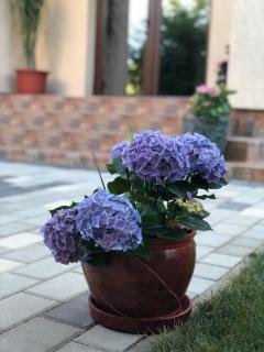 Eden Blue - Costinesti - 6