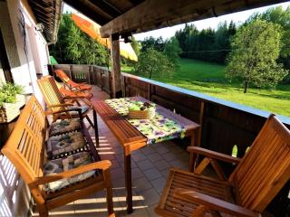 Ferienwohnung Hopfinger - Hohenau - 1