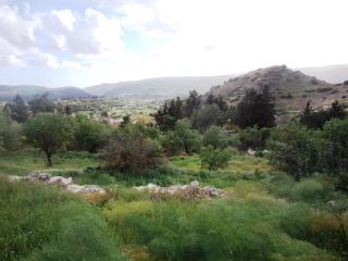 Oleander Stone House - Lemona - 5