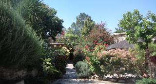 Oleander Stone House - Lemona - 6