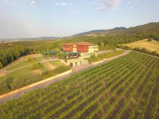 Estate Kalaitzis - Vergina - 8