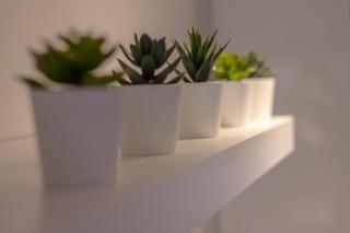 The Nest - Youghal - 1