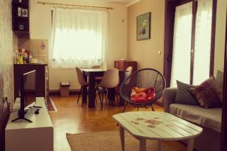 apartman Gledovic 1 - 9
