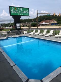 Sunflower Inn - Galloway - 9