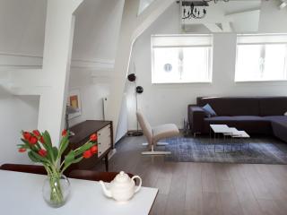 Tiny Monumental House in Down Town Leiden - Leida - 9