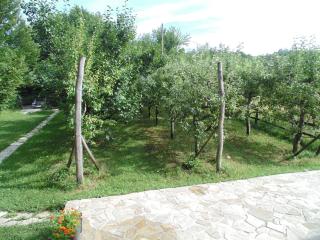 Holiday Home Alibegović - Visoko - 3