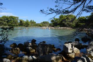 Apartmani Mirko A1 - Molat - 5