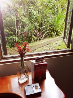 Cecropia Ecolodge - 7