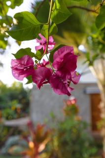 Cabaña Vaenga Miro - 6