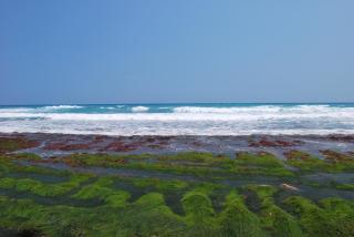 Hai Yue Homestay - Yanliau - 9