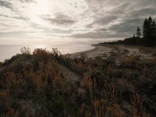 FortyOne - Oceanside Retreat Busselton - Busselton - 6
