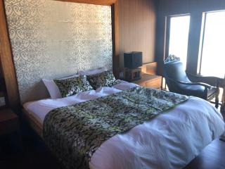 INDIGO GEO HOUSE #Ds1 - 8