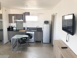 BEAU STUDIO CLIMATISE Rive Gauche - Palavas-les-Flots - 6