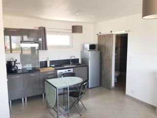 BEAU STUDIO CLIMATISE Rive Gauche - Palavas-les-Flots - 7