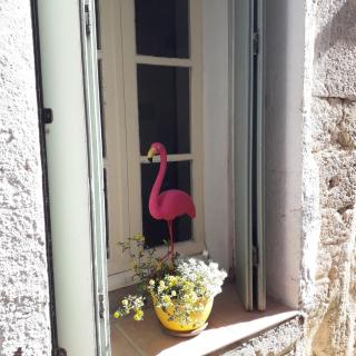 Maison Flamingo - Saint-Geniès-de-Fontedit - 6