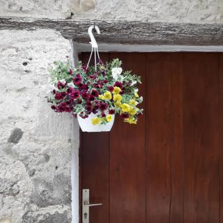 Maison Flamingo - Saint-Geniès-de-Fontedit - 7