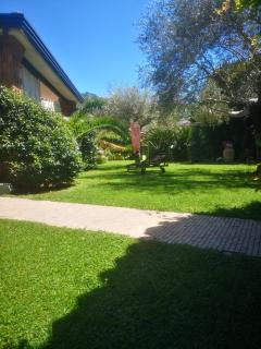 Villa Luisa - Montoro Inferiore - 4