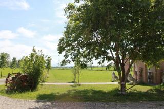 New Flowers Farm B&B - Noceto - 2