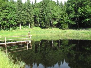Forsthaus Glashütte - Schaueregg - 5