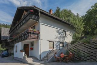 APARTMA JAKOPIČ - Zgornje Gorje - 5