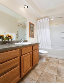WorldMark Grand Lake - Monkey Island - 0