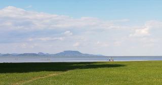 Tulipán Vendégház - Balatonberény - 8