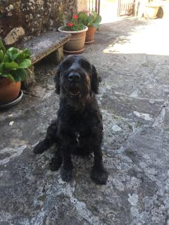 Casa das Augas Santas - 7