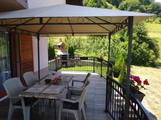 Holiday Home Dzeni - Zenica - 9