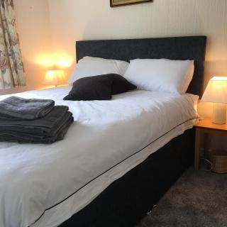 Larch Lodge - Newcastle - 9