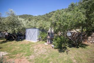 Apartments Robinzon Petar - 1