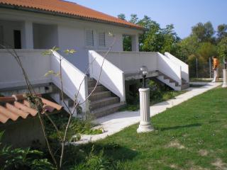 Apartment Ren - 2