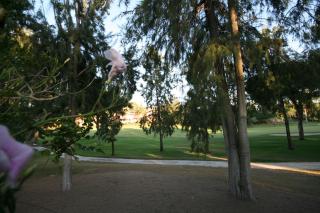 Greenlife Village - Marbella - 9