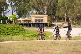 Birdwood Motel - Birdwood - 9