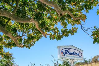 Bluebird Inn - Cambria - 0