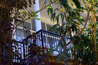 Raveena Guest House - Ella - 7