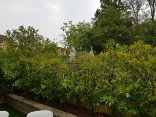 Appartamento Diamantina - Desenzano del Garda - 7