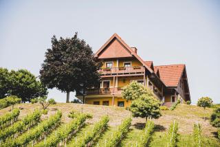 Hohler Appartement Gamlitz - Gamlitz - 0