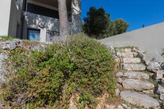 The Pine Flat - Argostoli - 3