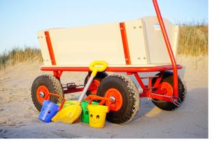 Strandmuschel - Sankt Peter-Ording - 8