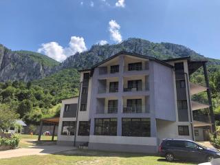 Pensiunea Platinum - Băile Herculane - 6