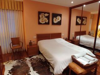 Hogar, a modo de hotel - Gijón - 7
