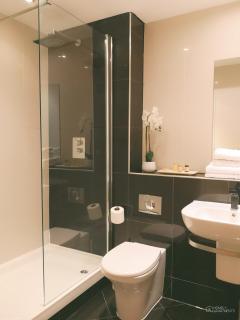 Homely Serviced Apartments - Blonk St - 3