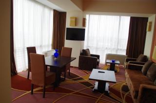Mari Vila Hotel - Bucharest - 7
