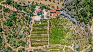 Vineyard Paradise House Pitve - Pitve - 7